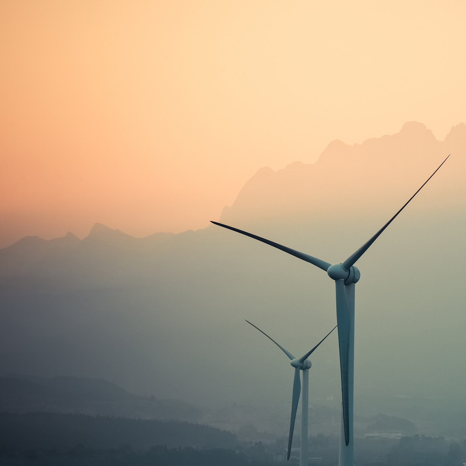 Wind turbines at golden hour